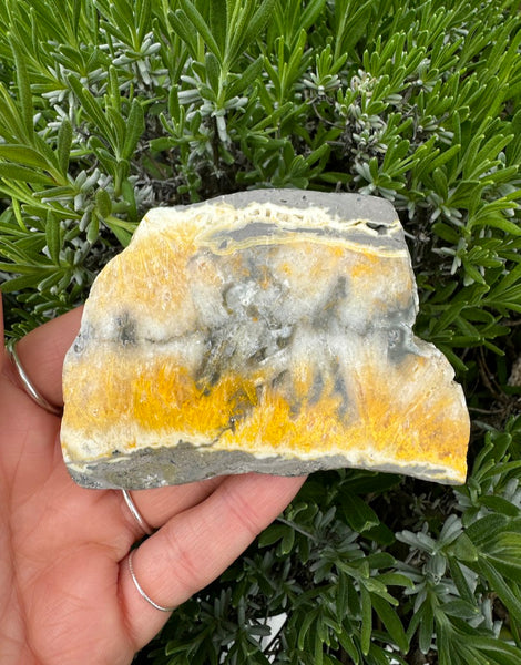 Bumblebee Jasper Slab