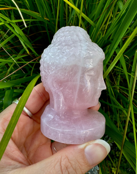 ROSE QUARTZ BUDDHA HEAD