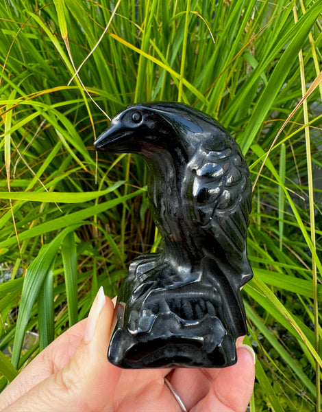 BLACK OBSIDIAN RAVEN