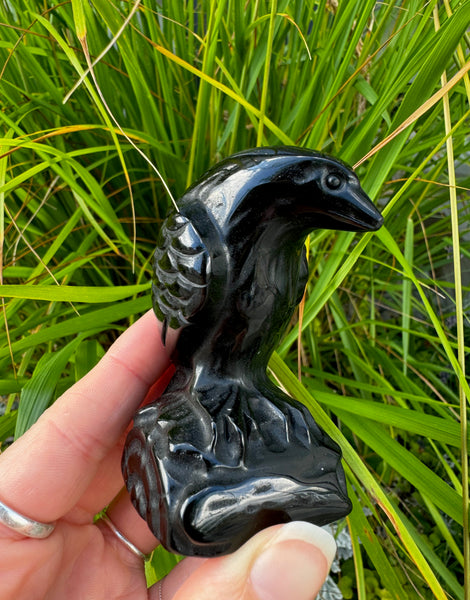 BLACK OBSIDIAN RAVEN