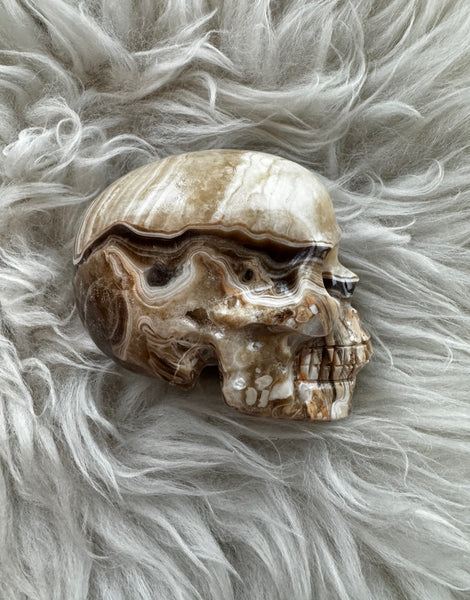 CRAZY LACE AGATE SKULL