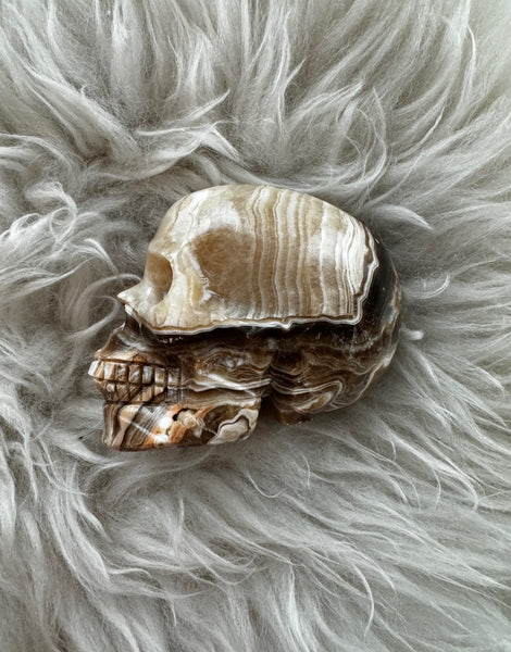 CRAZY LACE AGATE SKULL