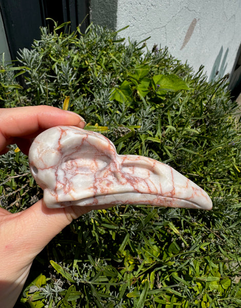 JASPER RAVEN SKULL