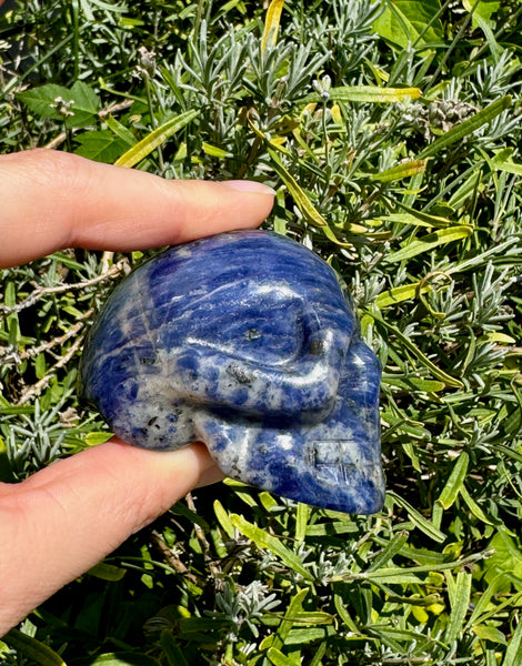 SODALITE SKULL