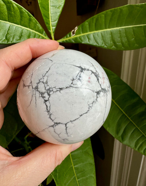 Howlite Sphere